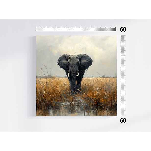 Obraz Na Plátně Canvas Příroda Zvíře Afrika Slon Savana 60x60