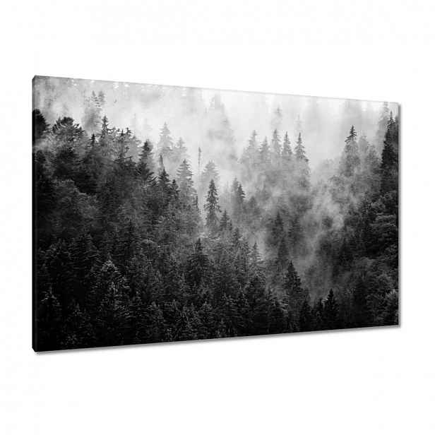Obrazy 120x80 Krajina Šedá Hory Mlha