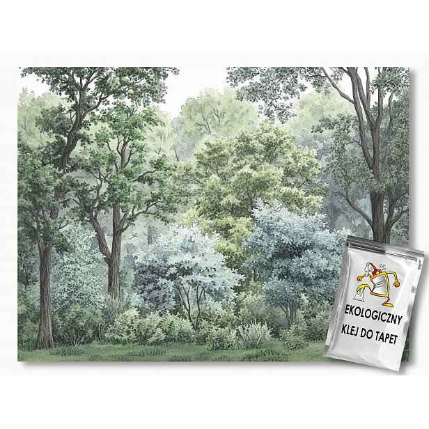 Fototapeta Flizelina Grafika Příroda Stromy Les Park Zeleň 416x290 130g