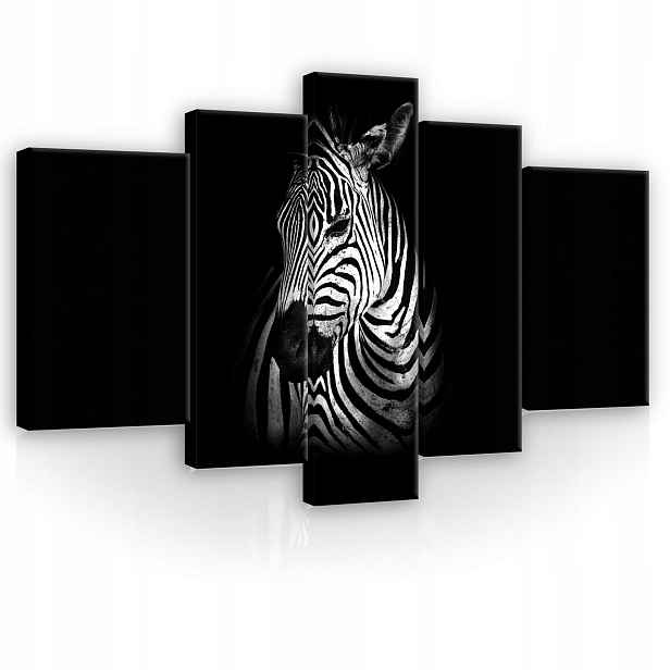 Obraz 170x100 Zebra černobílý kontrast safari zvíře minimalismus styl