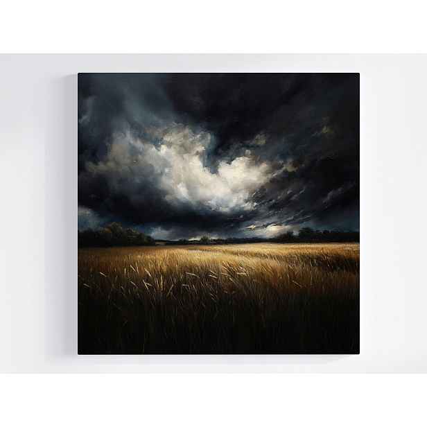 Obraz Na Plátně Plátno Krajina Pole Obilí Lány Nebe Mraky Bouřka 50x50