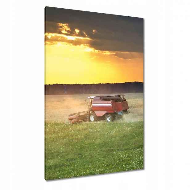 Obrazy 80x120 Kombajn seká zlaté obilí