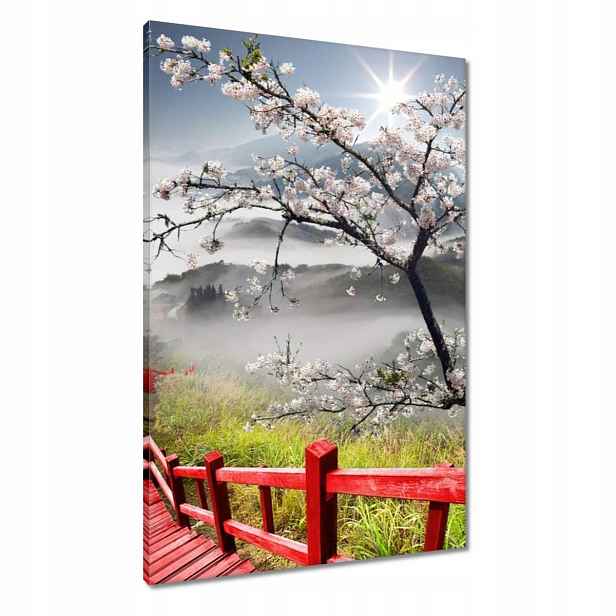 Obrazy 60x90 Červený most v Japonsku