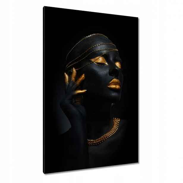Obrazy 80x120 Zlatá aparace