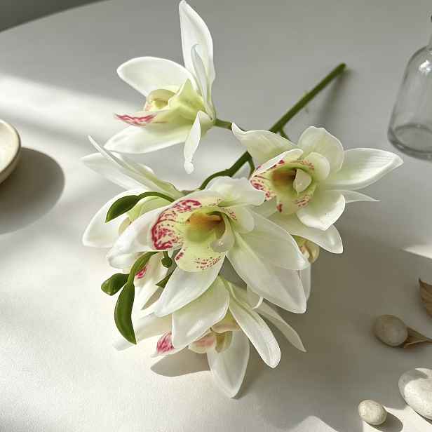 TEMU 1 ks Malá květináč slonové orchideje, květináč není součástí balení, skutečný dotek, umělá kytice pro zvýšení štěstí v domácnosti, vhodná do