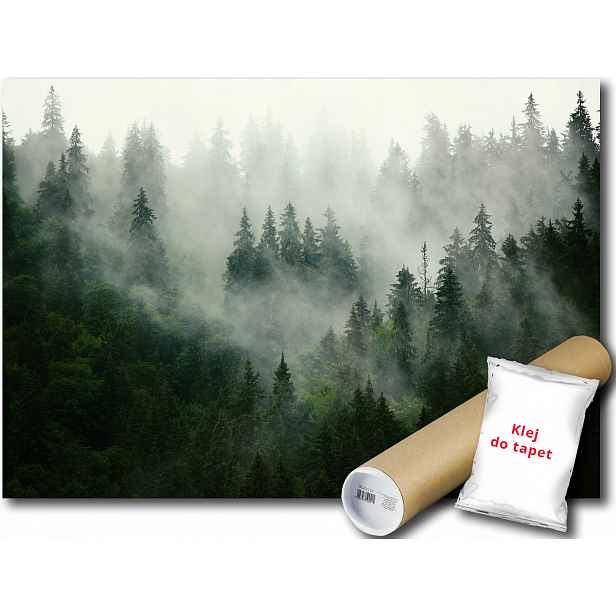 Vinylová fototapeta Les mlha stromy 152x104