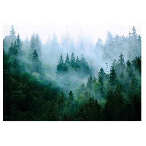 Fototapeta Lesa V Mlze hory stromy obývací pokoj 254x184