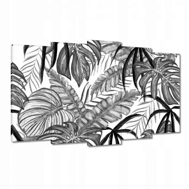 Obrazy 100x60 Monstera Zelený list