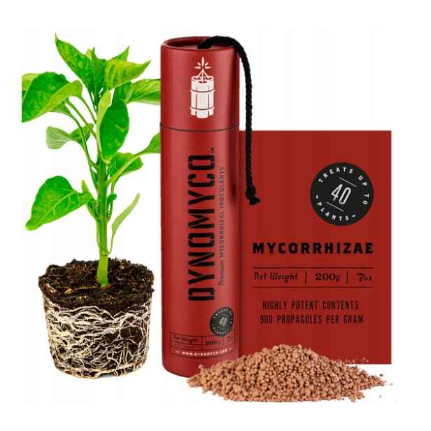 Mikoryza univerzální Dynomyco granulát 200 g Premium