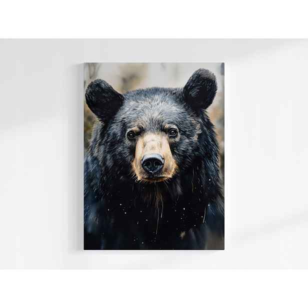 Plakát Portrét Zvířete Medvěda Baribal Medvídek Fauna 75x100