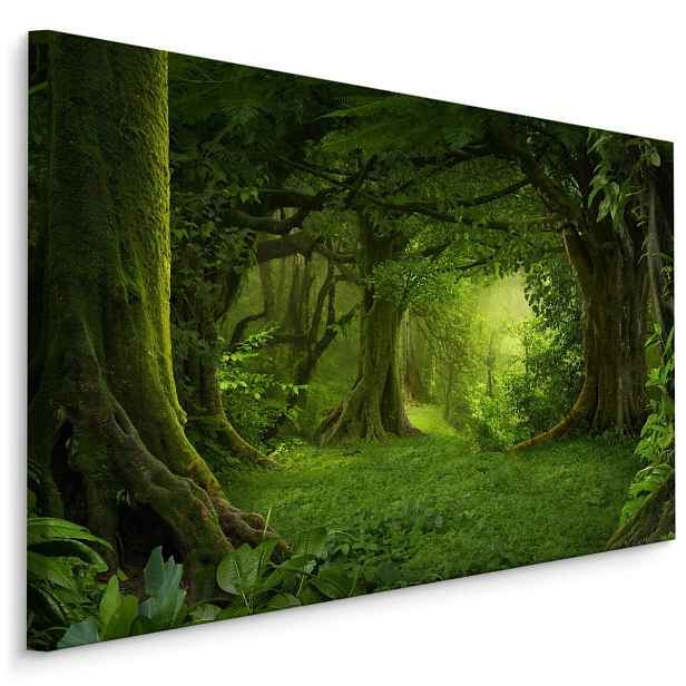 Plátno Tajemná Mýtina Varianta: 90x60