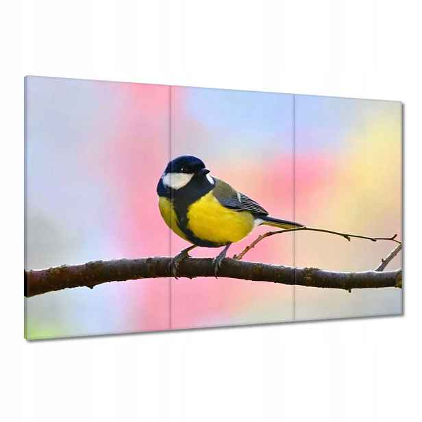 Obrazy 120x80 Žlutý ptáček