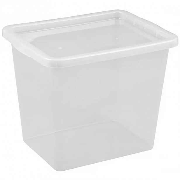Box s víkem basic 31l