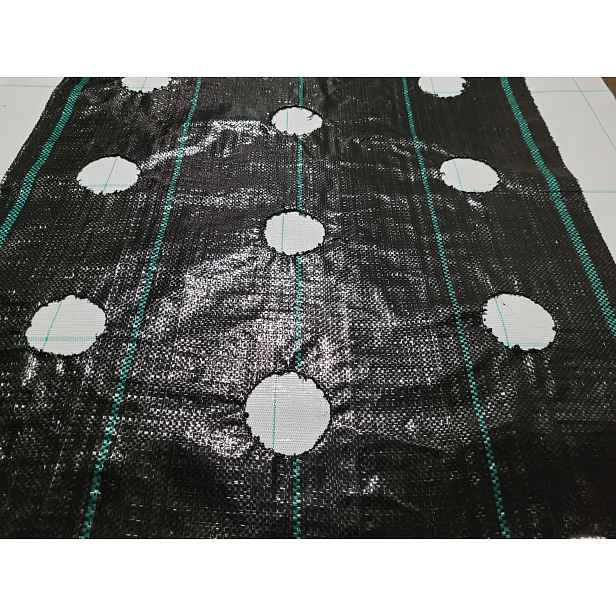 Agrotextilie s s otvory pro sazenice, 3 řady, 110 cm