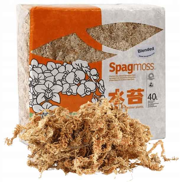 Mech Sphagnum Rašelinový Besgrow 40L Spagmoss Blended 500G substrát pH 4,8