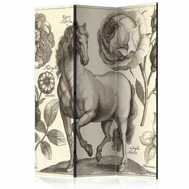 artgeist PARAVÁN, 135/172/3 cm