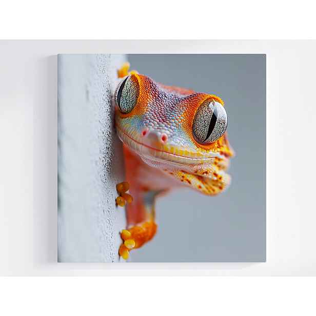 Obraz Na Plátně Canvas Foto Makro Gekon Ještěrka Plaz Exotika Oko 50x50