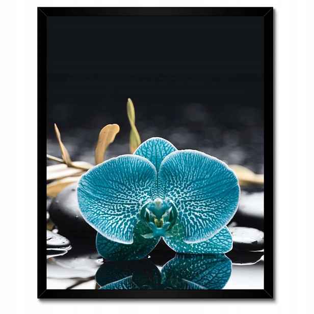 Plakáty v rámu 40x50 Tyrkysový orchidej Květina