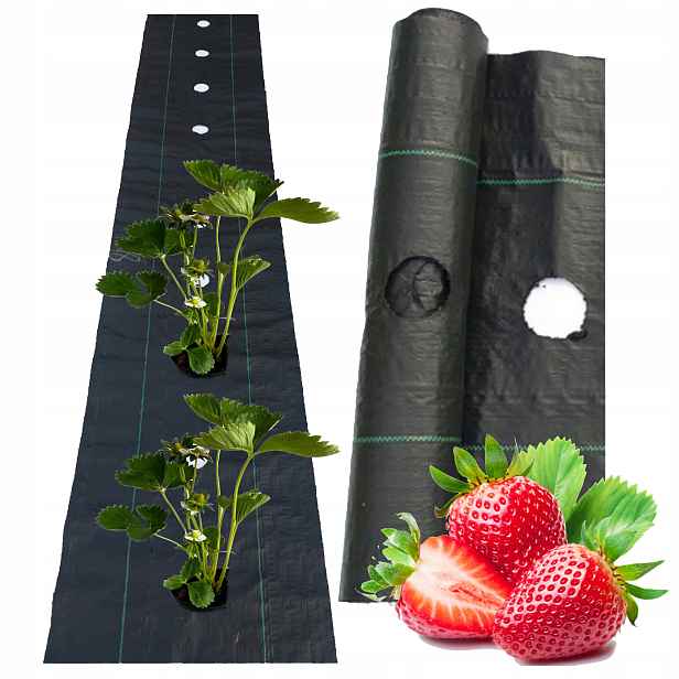 Agrotextilie černá 40 cm x 100 m na plevel s otvory každých 15 cm Silná 95 g/m2