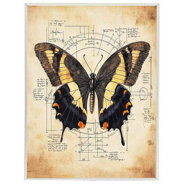 Plakát Rámeček Hliníková Grafika Styl Da Vinci Motýl Papyrus Kresba 60x80
