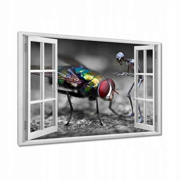 Obrazy 90x60 HardCore Design Photo Hc
