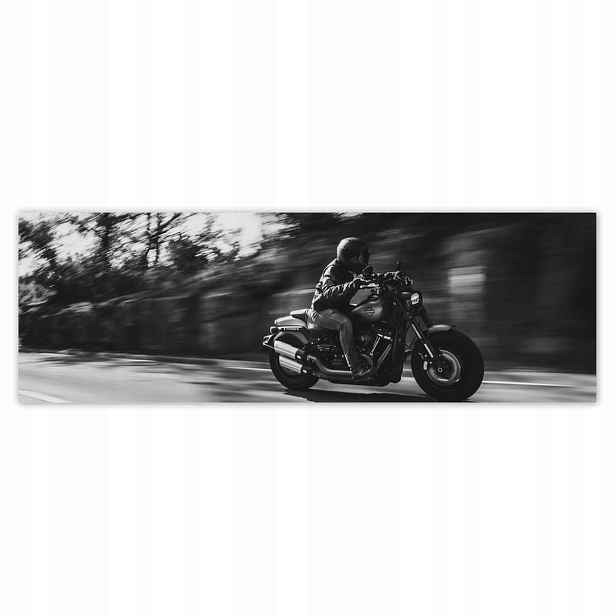 Plakáty 200x66 Harley Davidson Motocykl