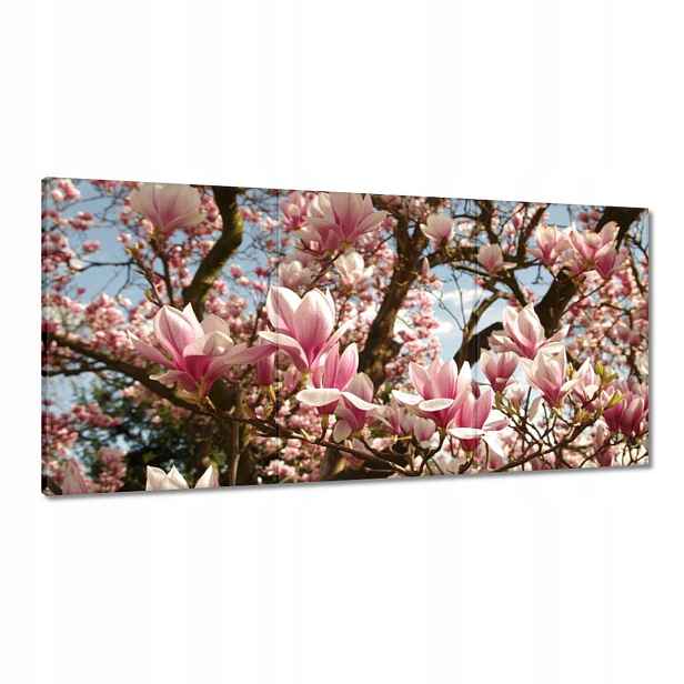 Obrazy 120x60 Magnolie Květiny Světle Modrá