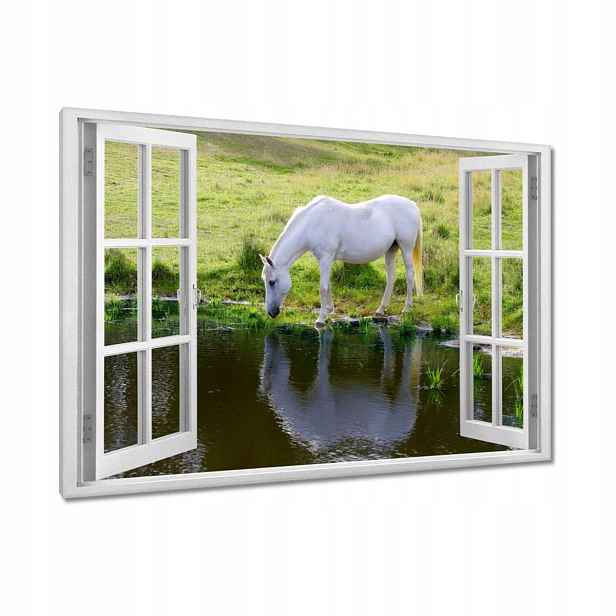Obrazy 90x60 Bílý kůň