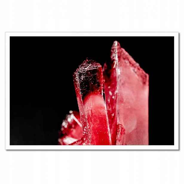 Plakáty v rámu 60x40 Makrofotografie MacroFoto