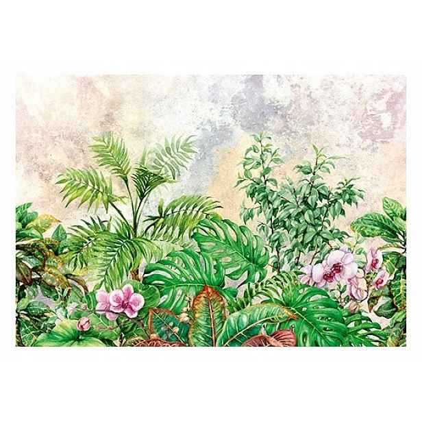 Fototapeta Listy kapradí Monstera Beton 254x184
