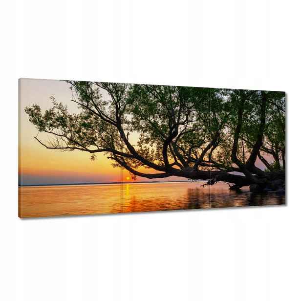 Obrazy 180x90 Stromy Listy Jezero
