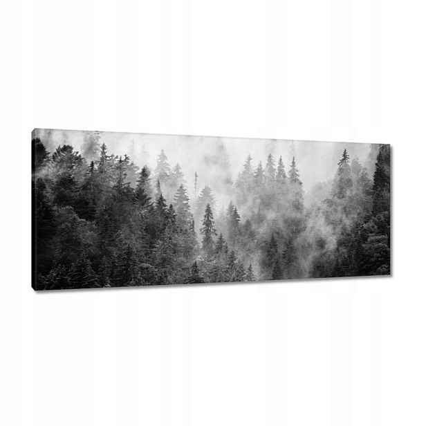 Obrazy 100x40 Krajina Šedá Hory Mlha