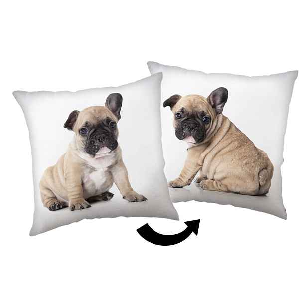 Dětský polštářek 40x40 cm Bulldog – Jerry Fabrics