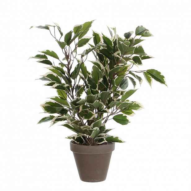 UMĚLÁ ROSTLINA 40 cm