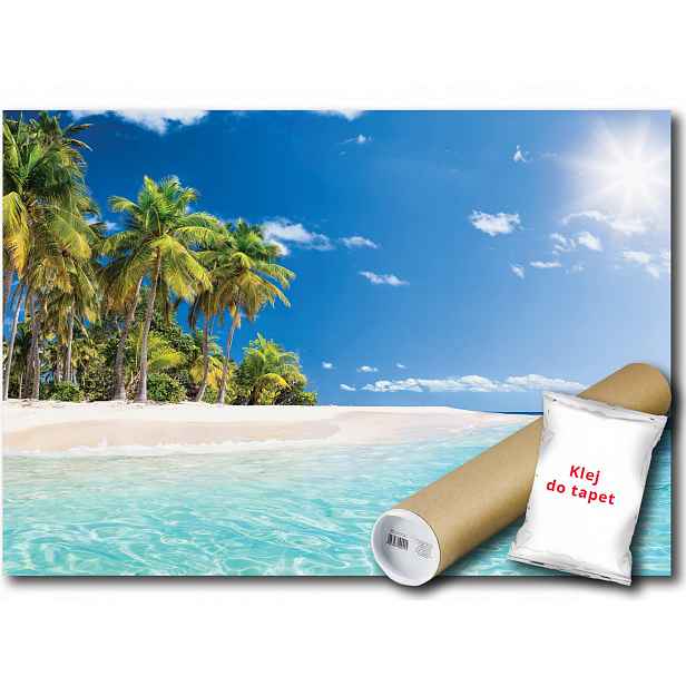 Vinylová Fototapeta Pláž Palmy Oceán 152x104