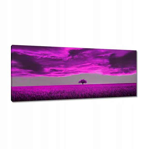 Obrazy 100x40 Fialová krajina
