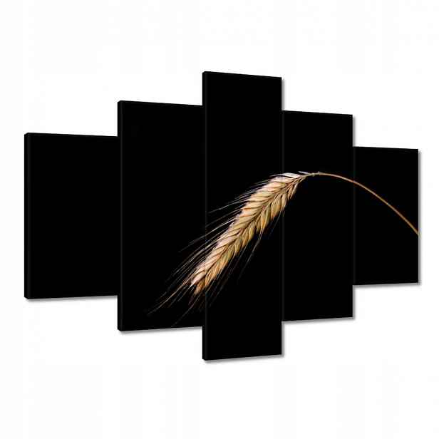 Obrazy 150x105 Klas žito obilí zlaté