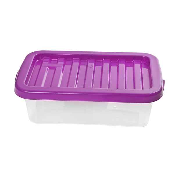 HEIDRUN - Box s víkem Quasar 4 l 32x20x10cm různé barvy