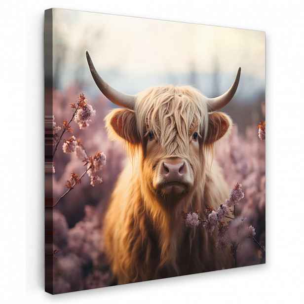 MuchoWow OBRAZ NA PLÁTNĚ Skotský horal - Jaro - Vysočina 50x50 cm