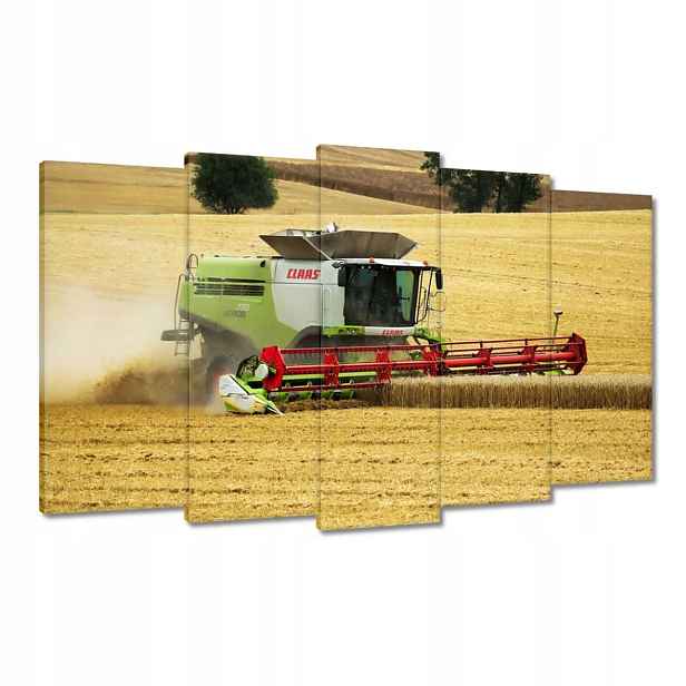 Obrazy 100x60 Kombajn Claas seká Sklizeň