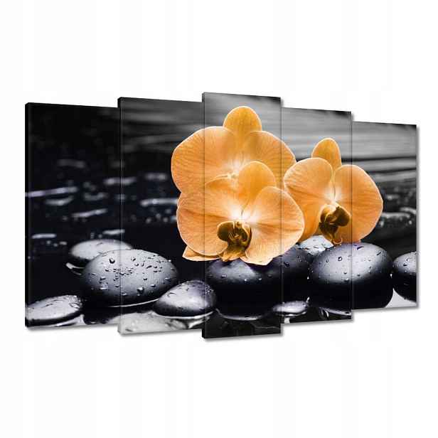 Obrazy 100x60 Oranžové orchideje
