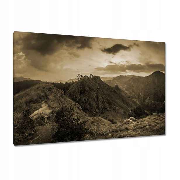 Obrazy 120x80 Hnědá krajina Krajina