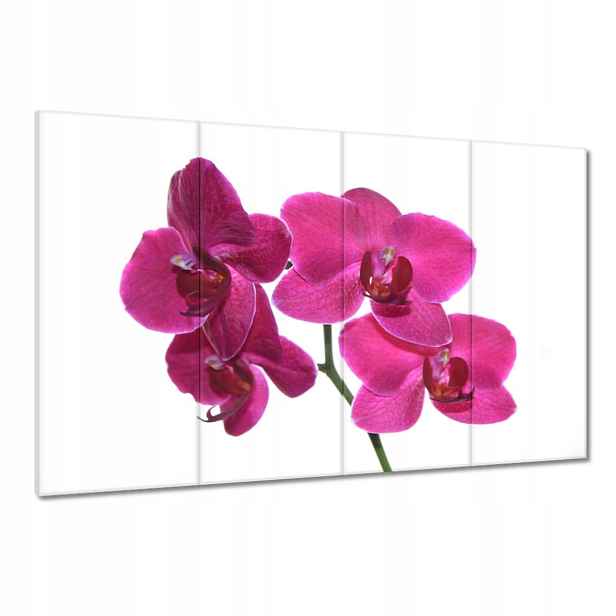 Obrazy 120x80 Fialový orchidej