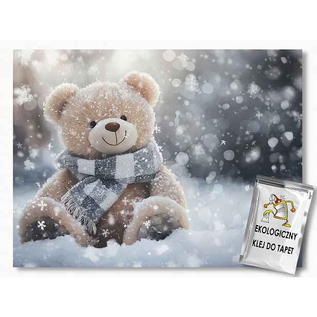 Fototapeta Flizelina Zima Sníh Mráz Medvídek Plyšák 312x219 130g