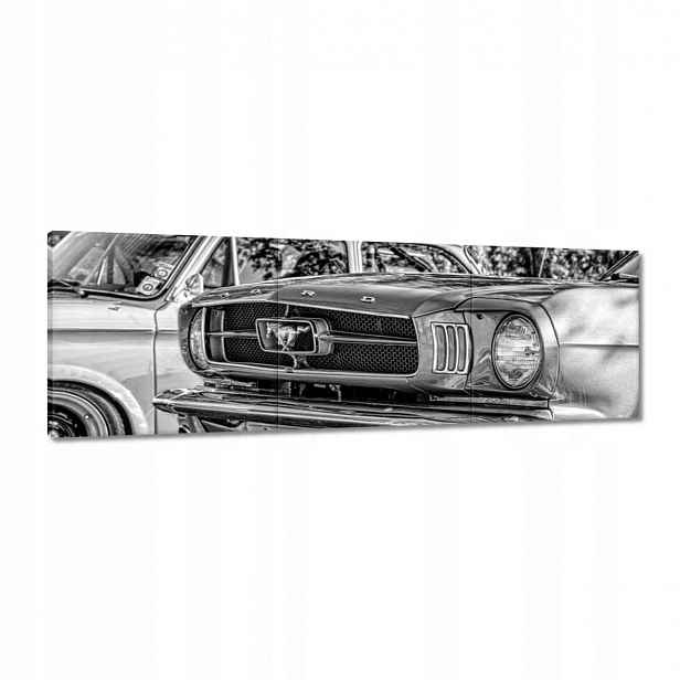 Obrazy 120x40 Ford Mustang