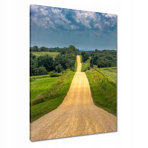 Obrazy 60x80 Cesta Louka Pole Les