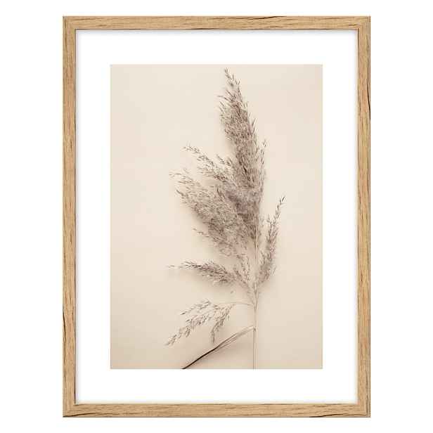Obraz 30x40 cm Grass – knor