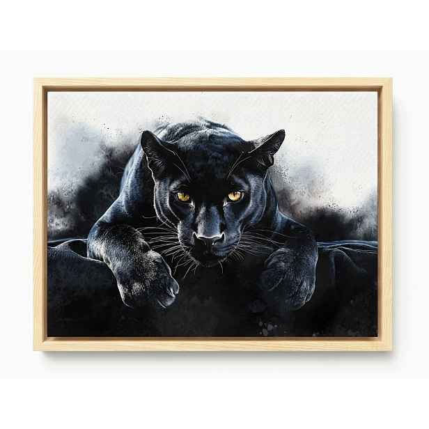 Obraz Rám American Box Příroda Portrét Černá Kočka Puma Dravec 80x60