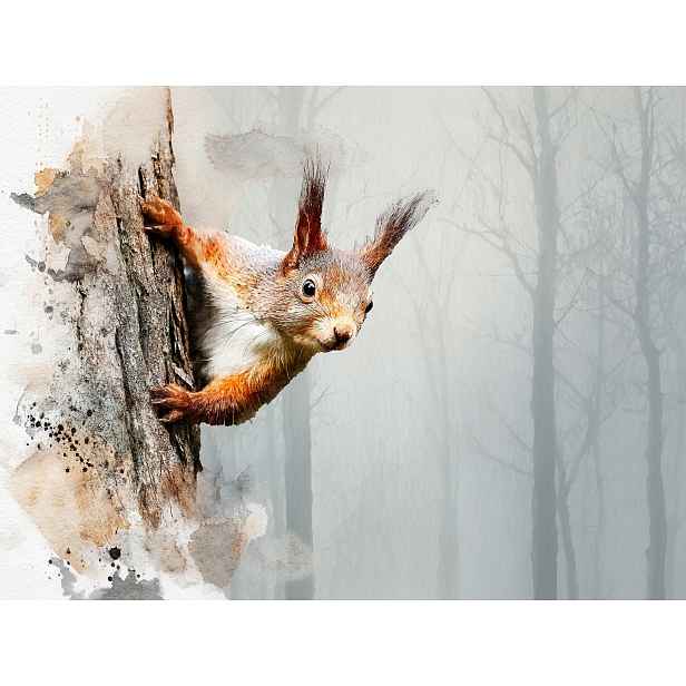 Obraz Na Plátně Canvas Veverka Les Příroda Dřevo Akvarel 80 x 60