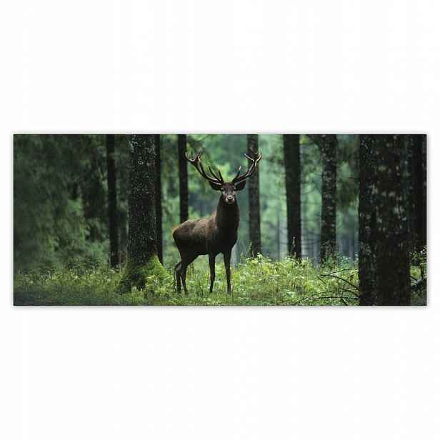 Fototapety flizelina 250x104 Jelen uprostřed lesa